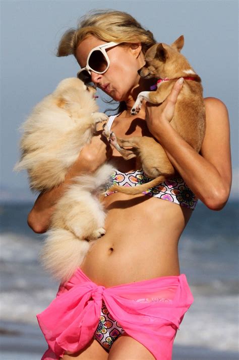 Paris Hilton In Bikini At A Beach In Malibu Hawtcelebs