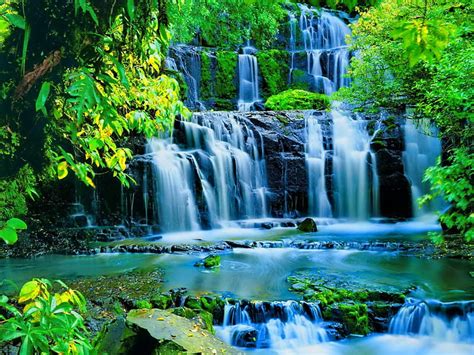 Forest Waterfall Forest Stream Fall Lovely Falling Greenery