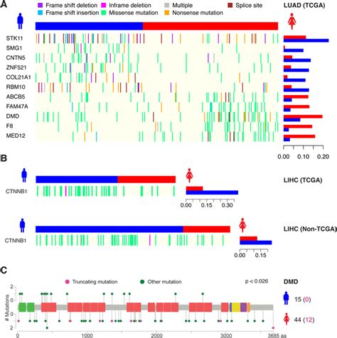 Sex Biased Somatic Mutation Signatures Overview Of The Genes With A