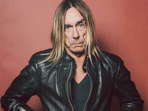 Anyone for an iggy pop asmr experience? Iggy Pop Bio, Wife, Height, Age, Son, Net Worth, Is He Gay ...