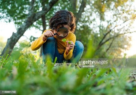 Observing Nature Photos And Premium High Res Pictures Getty Images