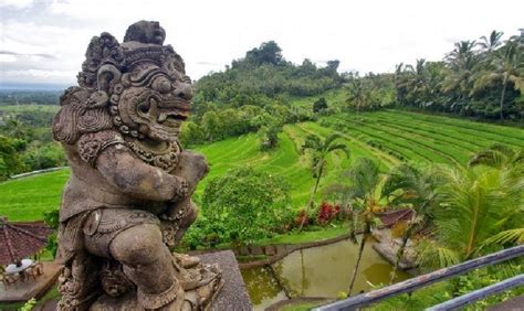 Lintang bukit jambul 1, bj cove, 11900 bayan lepas, pulau pinang, malaysia. Bukit Jambul Bali - BALI JUNGLE TREKKING | Best Hiking ...