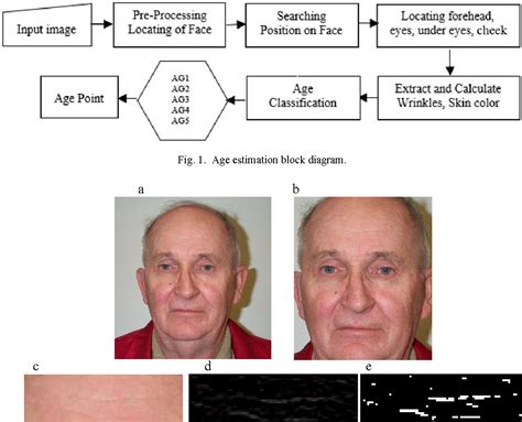 Figure 1 From Facial Age Estimation Using A Hybrid Of SVM And Fuzzy