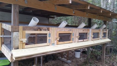 Diy Quail Cage 20 Backyard Chickens Learn How To Raise Chickens