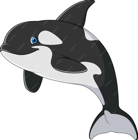 Premium Vector Orca Whale Swimming And Smiling Cartoon