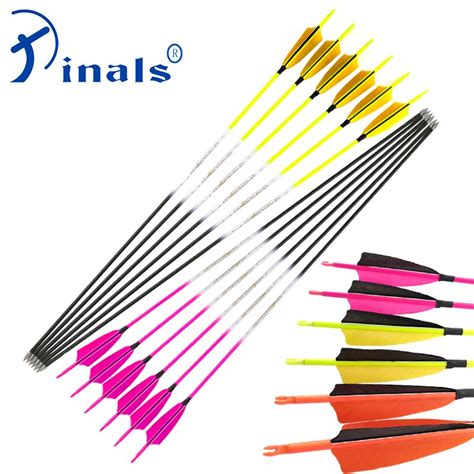 Pinals Archery Carbon Arrow Hunting Spine 500 1000 30 Inches Shafts