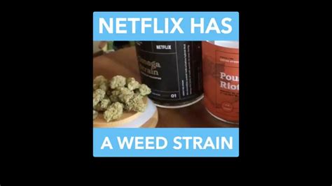 Netflix Has Weed Strain Youtube
