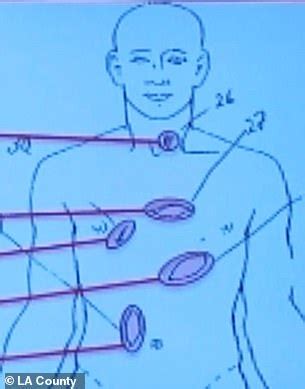 April 26, 2021, insideeko media. Ashley Ellerin Murder, Trial, Ashton Kutcher Girlfriend ...