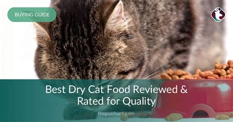 American journey turkey & chicken recipe dry food. 10 Best Dry Cat Foods Reviewed & Rated in 2019 | TheGearHunt