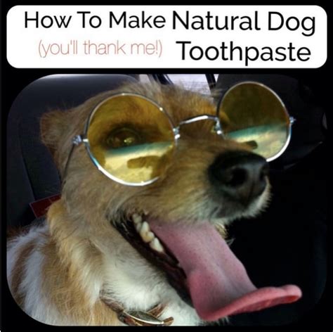 Even, you can do it thrice in a week. At Home Dog Teeth Cleaning Recipe & Instructions ...