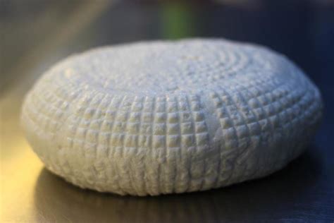 Circassian Cheese Alchetron The Free Social Encyclopedia