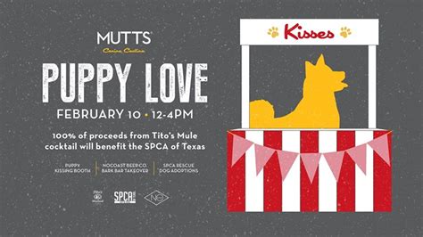 To serve more adopters from march 2021 onwards, we have pushed all existing 2021 adoption appointments into jan and feb. Puppy Love, Dallas TX - Feb 10, 2018 - 12:00 PM