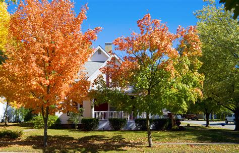 Fall Lawn Care Tips In Nashville Tn Acer Landscape Services
