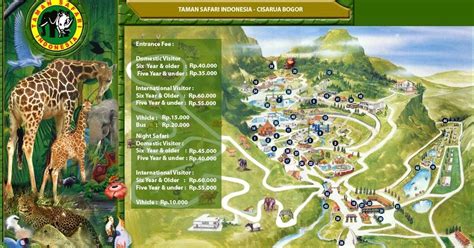 Ruang terbuka hijau bagus pertama yang bisa kita temui di ibukota namanya yaitu taman cattleya, letaknya itu ada di jalan letjend s.parman no.99, kemanggisan, daerah palmerah. Harga Tiket Masuk Taman Safari Cisarua Bogor Terbaru