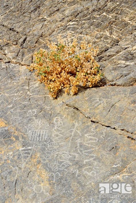 Petroglyphs Scratched Into Stone In Titus Canyon Death Valley National