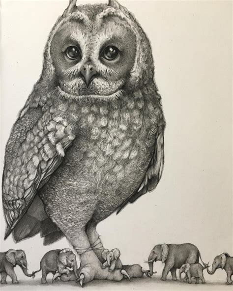 Instruction, the art of drawing animals is a comprehensive and indispensable resource for all artists. Mind Blowing Funny Pencil Drawings By Adonna Khare ...