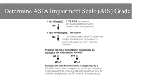 Asia Scale