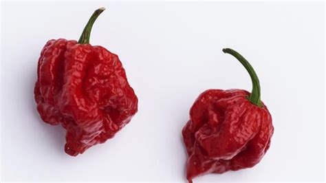 Carolina Reaper Man Gets Thunderclap Headaches From Worlds Hottest Chilli