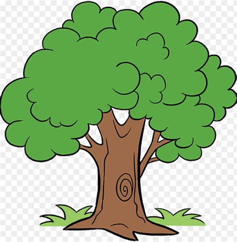 Free Download Hd Png How To Draw Cartoon Tree Cartoon Tree Png