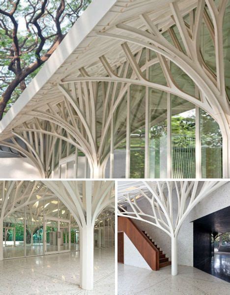 Arboreal Architecture Taking Inspiration From Trees Webecoist