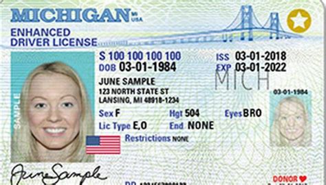 Free Michigan Drivers License Template Download Plmlemon