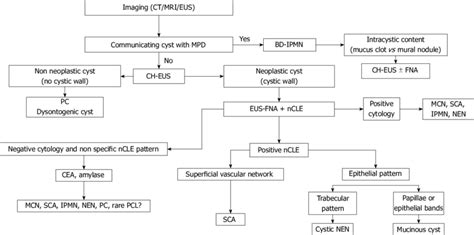 Diagnostic Algorithm Integrating New Endoscopic Ultrasonography Based