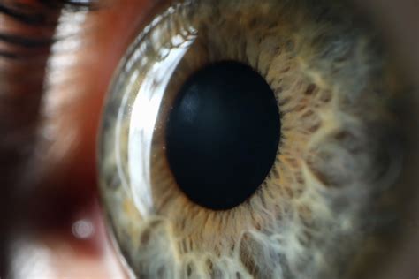 Augenfarbe Wissen Brillen Augengesundheit Schweiz Dynoptic