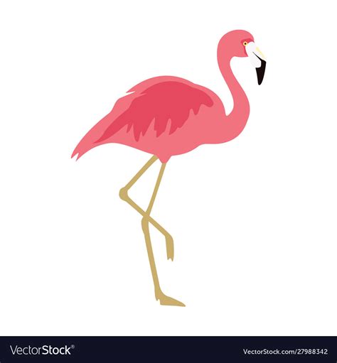 Pink Flamingo Exotic Bird Cool Flamingo Royalty Free Vector