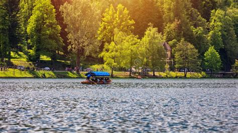 Iconic Bled Scenery Boats At Lake Bled Slovenia Europe Editorial