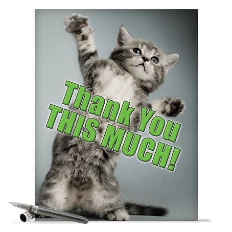 J3612 Thank You This Much Kitten Big Thank You Etsy