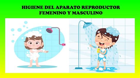 Higiene Del Aparato Reproductor Femenino Y Masculino Youtube