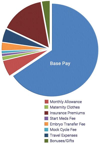 Surrogate Costs The Definitive Guide To Her Salary And Benefits