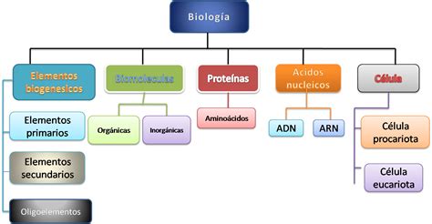 Biologia Los Bioelementos