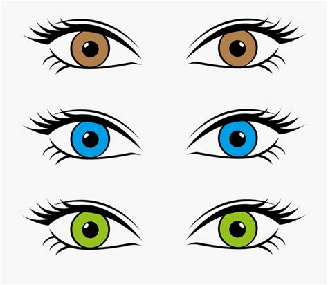 Eye Color Clipart Transparent Cartoon Free Cliparts And Silhouettes