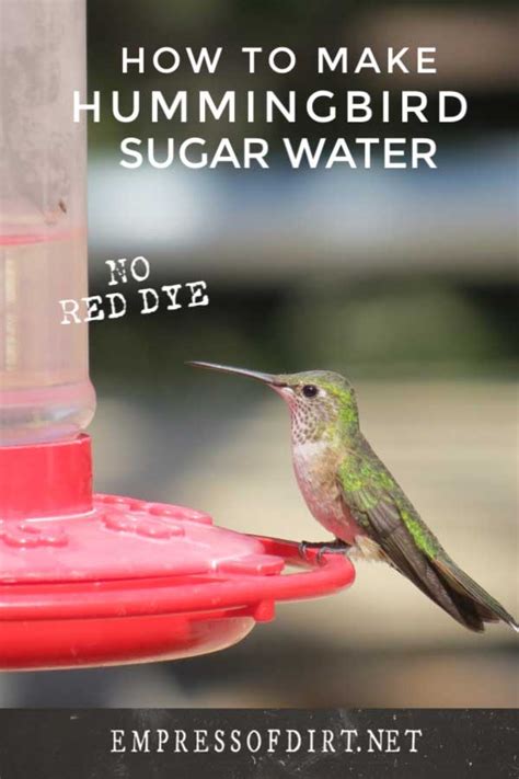 Maybe you would like to learn more about one of these? How to Make Hummingbird Food (Sugar Water Recipe) | Sugar ...