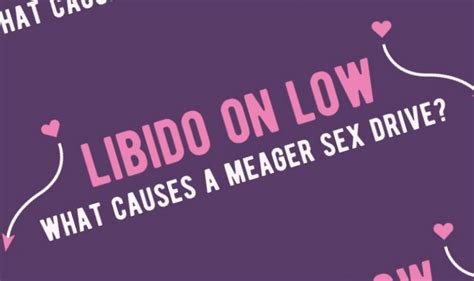 Libido On Low What Causes A Meager Sex Drive Infographic ~ Visualistan