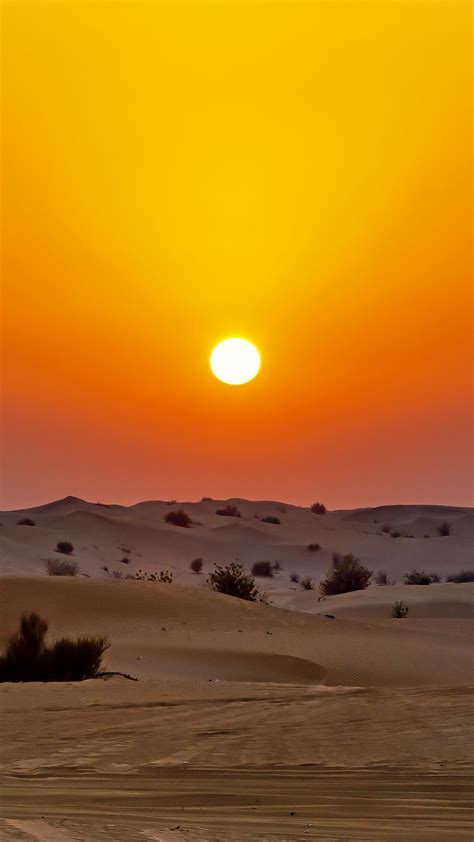 Download Wallpaper 1080x1920 Desert Sunset Dunes Sand Samsung Galaxy