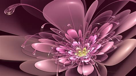 Cool Flower Wallpapers 56 Pictures