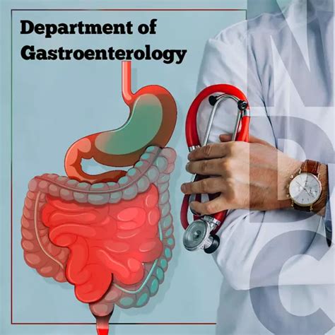Gastroenterology North City Diagnostic