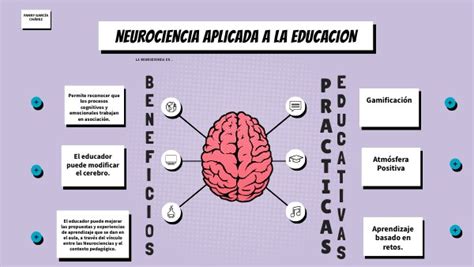 Mapa Mental Neurociencias En La EducaciÓn