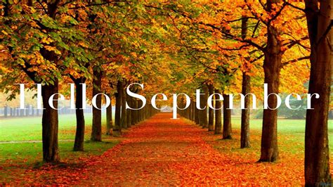 Hello September Word In Colorful Autumn Fall Trees Background Hd