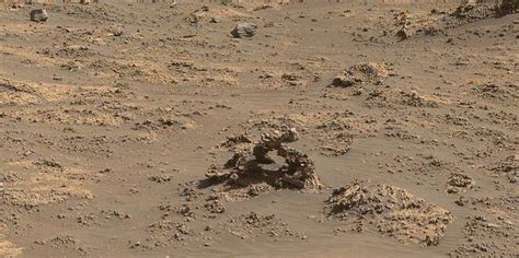Mars Worms New Rover Photo Reveals Tiny Peculiar Rock Formation