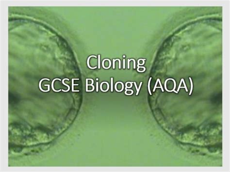 Cloning Gcse Biology Aqa Teaching Resources