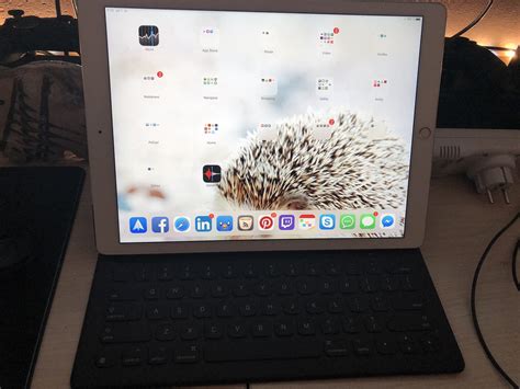 Ipad Pro 128 Gb Wifi Cellular 2015 Apple Bazar