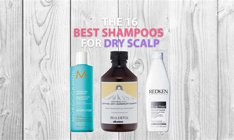 The 16 Best Shampoos For Dry Scalp Of 2022 Luxebc