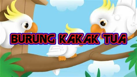 Lagu Burung Kakak Tua Lagu Anak Anak Indonesia Youtube