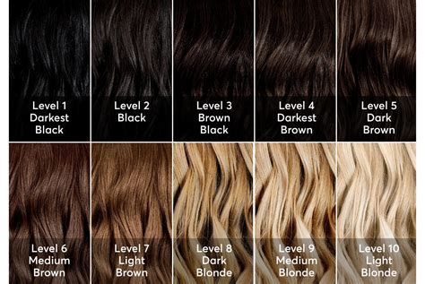 Ion Hair Color Chart Blonde Have The Finest Web Log Miniaturas