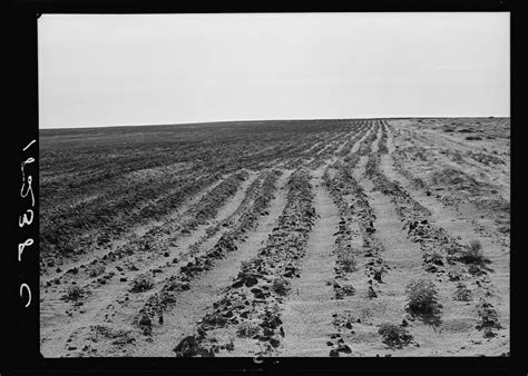 13 Vintage Photos Of The Dust Bowl Modern Farmer