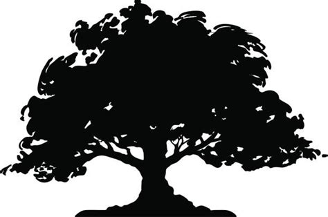 Free Live Oak Clipart