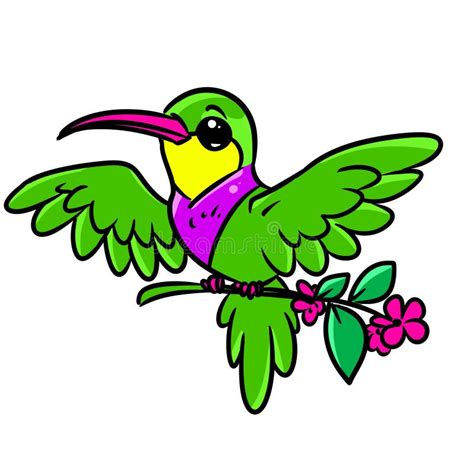 Hummingbird Bird Small Character Animal Illustration Cartoon Stock